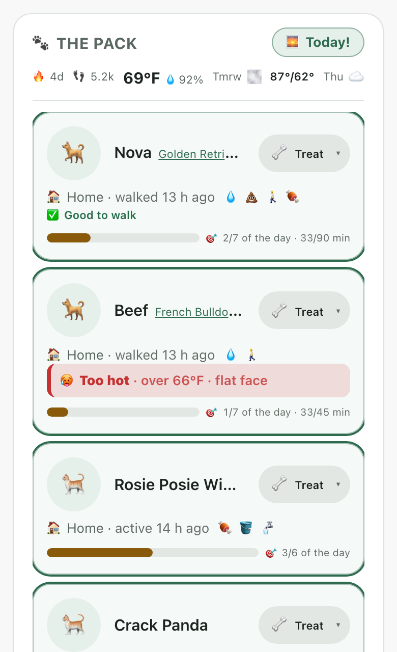 Live family feed